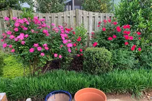 1201 Allendale Rd, McLean, VA 22101 - Photo 7