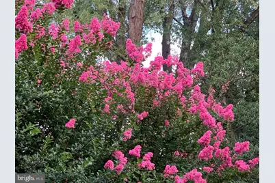 1201 Allendale Road, McLean, VA 22101 - Photo 9