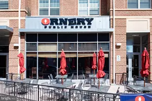 13048 Cabin Creek Rd, Herndon, VA 20171 - Photo 53