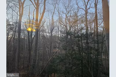 12048 Winding Creek Court, Clifton, VA 20124 - Photo 25