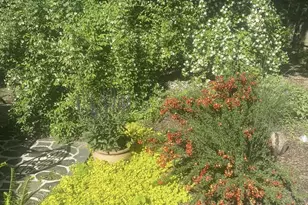 6102 Sherborn Ln, Springfield, VA 22152 - Photo 43