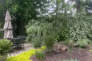 6102 Sherborn Ln, Springfield, VA 22152 - Photo 41