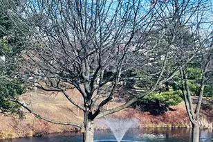 6086 Essex House Square, Alexandria, VA 22310 - Photo 29