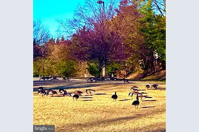 6086 Essex House Square, Alexandria, VA 22310 - Photo 27