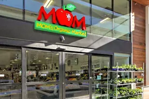 7748 New Providence Dr, Falls Church, VA 22042 - Photo 41