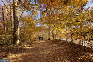 5937 Atteentee Rd, Springfield, VA 22150 - Photo 47