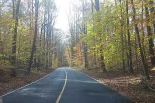 5937 Atteentee Rd, Springfield, VA 22150 - Photo 35