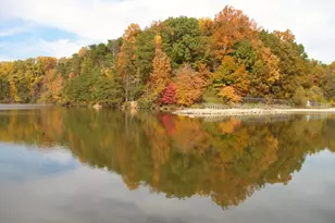 5937 Atteentee Rd, Springfield, VA 22150 - Photo 39