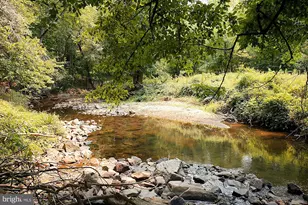 1347 Kirby Rd, McLean, VA 22101 - Photo 73