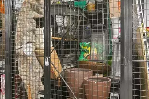 2960 Vaden Dr, Fairfax, VA 22031 - Photo 33