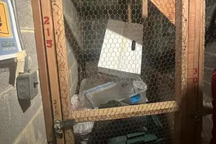 7721 Tremayne Pl, McLean, VA 22102 - Photo 29