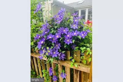 8130 Briar Creek Drive, Annandale, VA 22003 - Photo 27