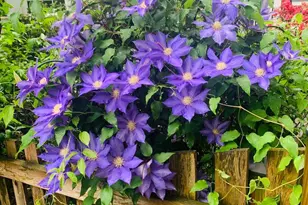 8130 Briar Creek Dr, Annandale, VA 22003 - Photo 27