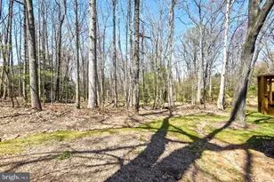 980 Old Holly Dr, Great Falls, VA 22066 - Photo 39