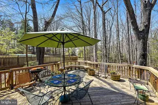 980 Old Holly Dr, Great Falls, VA 22066 - Photo 37