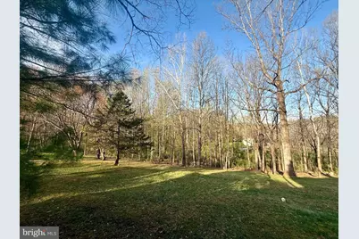 2102 Twin Mill Lane, Oakton, VA 22124 - Photo 3