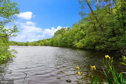 8514 Oak Chase Circle, Fairfax Station, VA 22039 - Photo 65