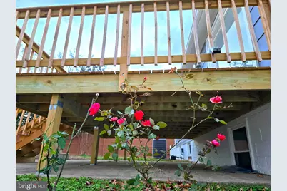 4813 Lawrence Street, Alexandria, VA 22309 - Photo 57