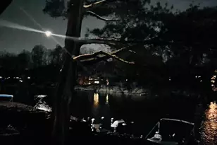 11292 Harbor Ct, Reston, VA 20191 - Photo 5