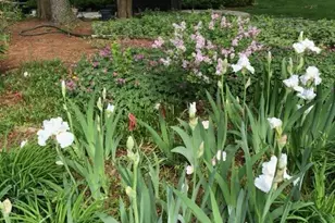 6125 Sandstone Ct, Clifton, VA 20124 - Photo 45