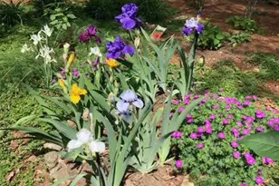 6125 Sandstone Ct, Clifton, VA 20124 - Photo 41