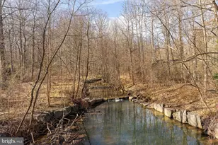 1540 Northgate Square, Reston, VA 20190 - Photo 47