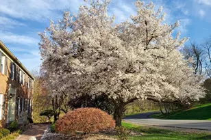 1435 Rosewood Hill Dr, Vienna, VA 22182 - Photo 55