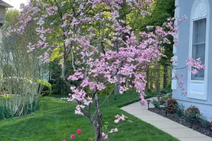 12524 Philmont Dr, Herndon, VA 20170 - Photo 7