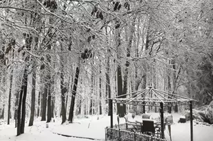 12524 Philmont Dr, Herndon, VA 20170 - Photo 11