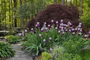 12524 Philmont Dr, Herndon, VA 20170 - Photo 3