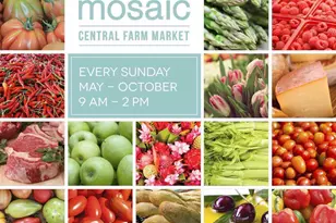 4213 St Jerome Dr, Annandale, VA 22003 - Photo 63