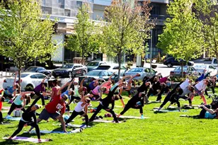 4213 St Jerome Dr, Annandale, VA 22003 - Photo 85