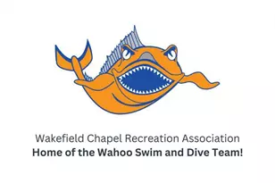 4213 St Jerome Dr, Annandale, VA 22003 - Photo 51