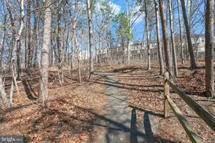 14317 Flomation Ct, Centreville, VA 20121 - Photo 35