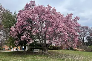 2849 Hideaway Rd, Fairfax, VA 22031 - Photo 3