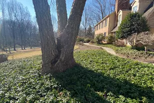 9701 Georgetown Pike, Great Falls, VA 22066 - Photo 41