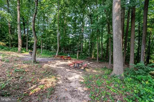 2300 Pimmit Dr, Falls Church, VA 22043 - Photo 59