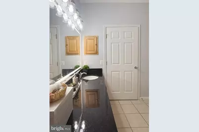 1530 Spring Gate Drive #9317, McLean, VA 22102 - Photo 25