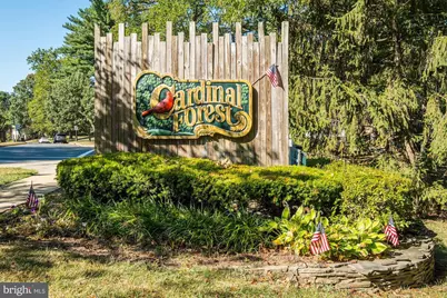 5927 Bayshire Road, Springfield, VA 22152 - Photo 43