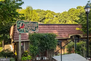 5927 Bayshire Rd, Springfield, VA 22152 - Photo 45