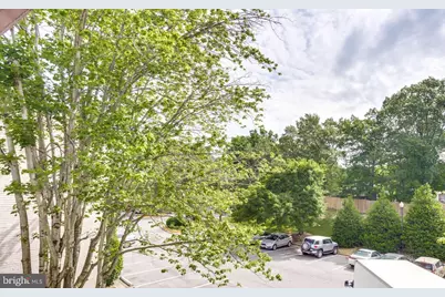 5614 Bloomfield Drive #204, Alexandria, VA 22312 - Photo 21