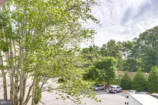 5614 Bloomfield Dr, Alexandria, VA 22312 - Photo 21