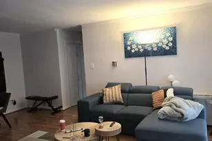 3336 Spring Ln, Falls Church, VA 22041 - Photo 7