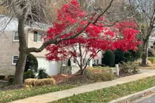 6125 Beech Tree Dr, Alexandria, VA 22310 - Photo 39