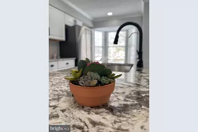 13937 Big Yankee Lane, Centreville, VA 20121 - Photo 11