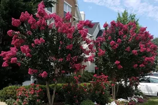 4132 Fountainside Ln, Fairfax, VA 22030 - Photo 29