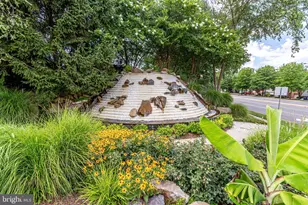 7709 Haynes Point Way, Alexandria, VA 22315 - Photo 47
