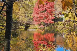 6047 Knights Ridge Way, Alexandria, VA 22310 - Photo 29