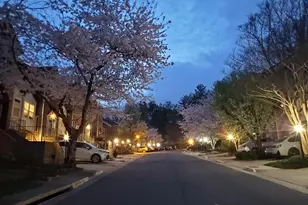 6047 Knights Ridge Way, Alexandria, VA 22310 - Photo 25