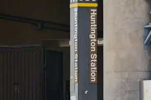 5904 Mt Eagle Dr, Alexandria, VA 22303 - Photo 35